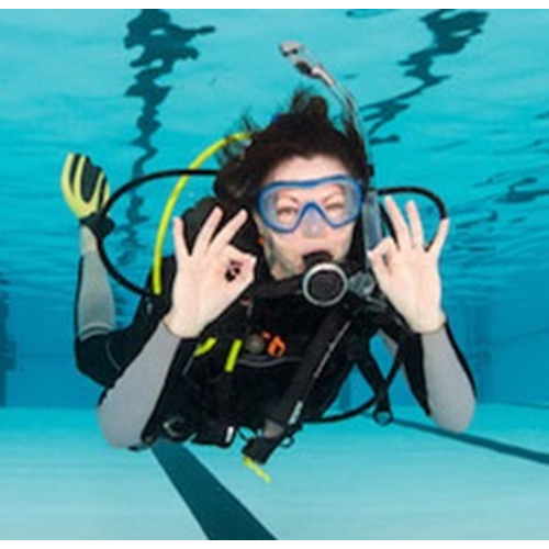 PADI Open Water Diver - Classic Learning